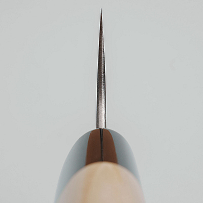 Wakui Aogami #2 Migaki Gyuto 21 cm