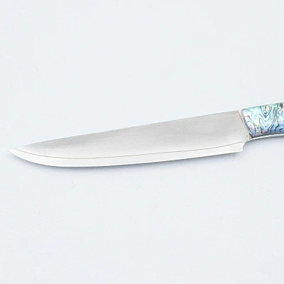 Nigara SG2 Kasumi Abalone Steakmes 13 cm