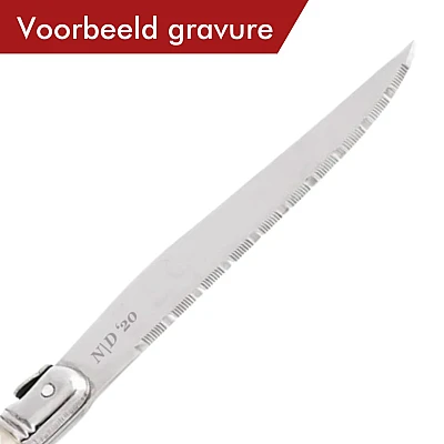 Laguiole Style de Vie Steakmessen Premium Line Parelmoer