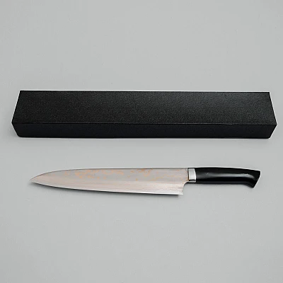 Takeshi Saji Rainbow Aogami Fuji Gyuto 27 cm #3