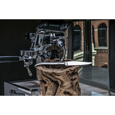 Laguiole Style de Vie Steakmessen Luxury Line RVS