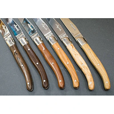Laguiole Steakmessen Jean Dubost Gemengd
