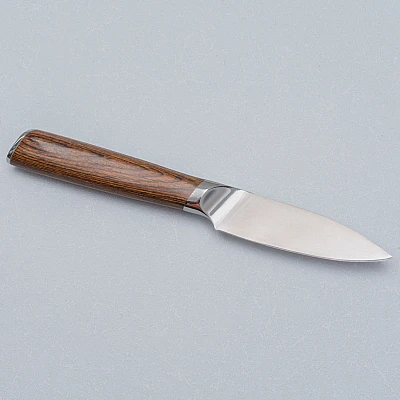 Kazoku Nisei Paring Knife 9 cm