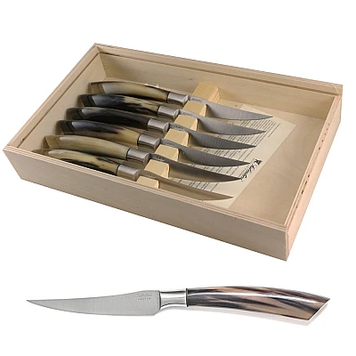 Saladini Steakmessen Ossenhoorn (6 stuks)