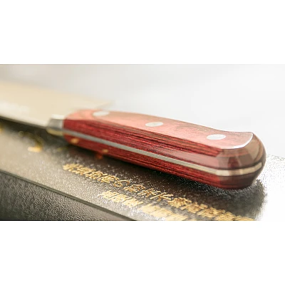 Takamura Migaki R2 Santoku 17  cm