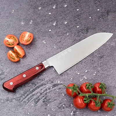 Takamura Migaki R2 Santoku 17  cm